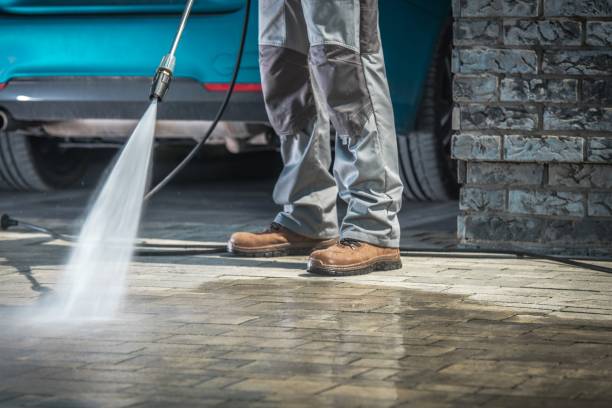 Best Fleet Vehicle Washing  in Medina, NY