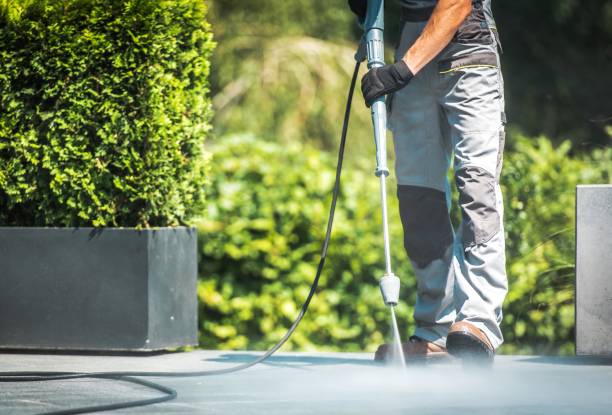 Best Factory Floor Cleaning  in Medina, NY