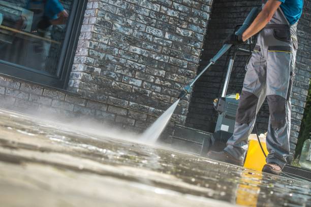 Best Spring Cleaning  in Medina, NY