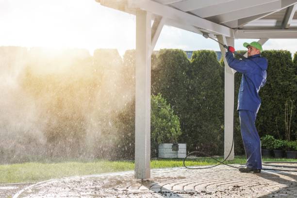 Best Solar Panel Cleaning  in Medina, NY