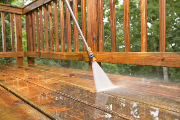 Best Animal Enclosure Cleaning  in Medina, NY